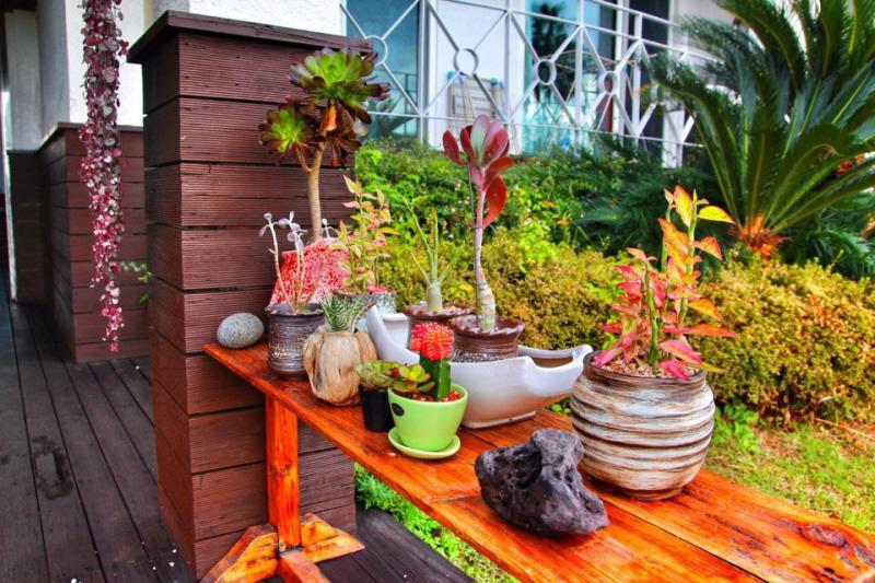 Jeju Land Pension Seogwipo Ngoại thất bức ảnh