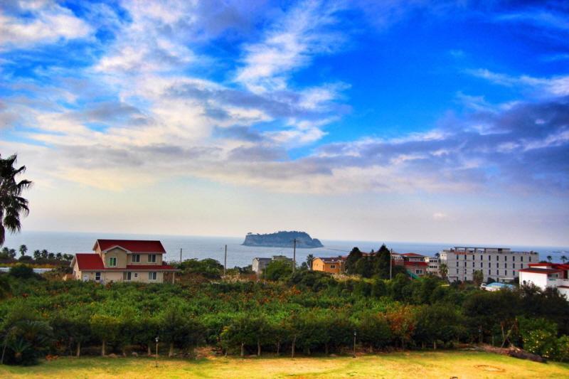 Jeju Land Pension Seogwipo Ngoại thất bức ảnh